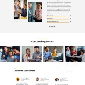Theme giới thiệu công ty
